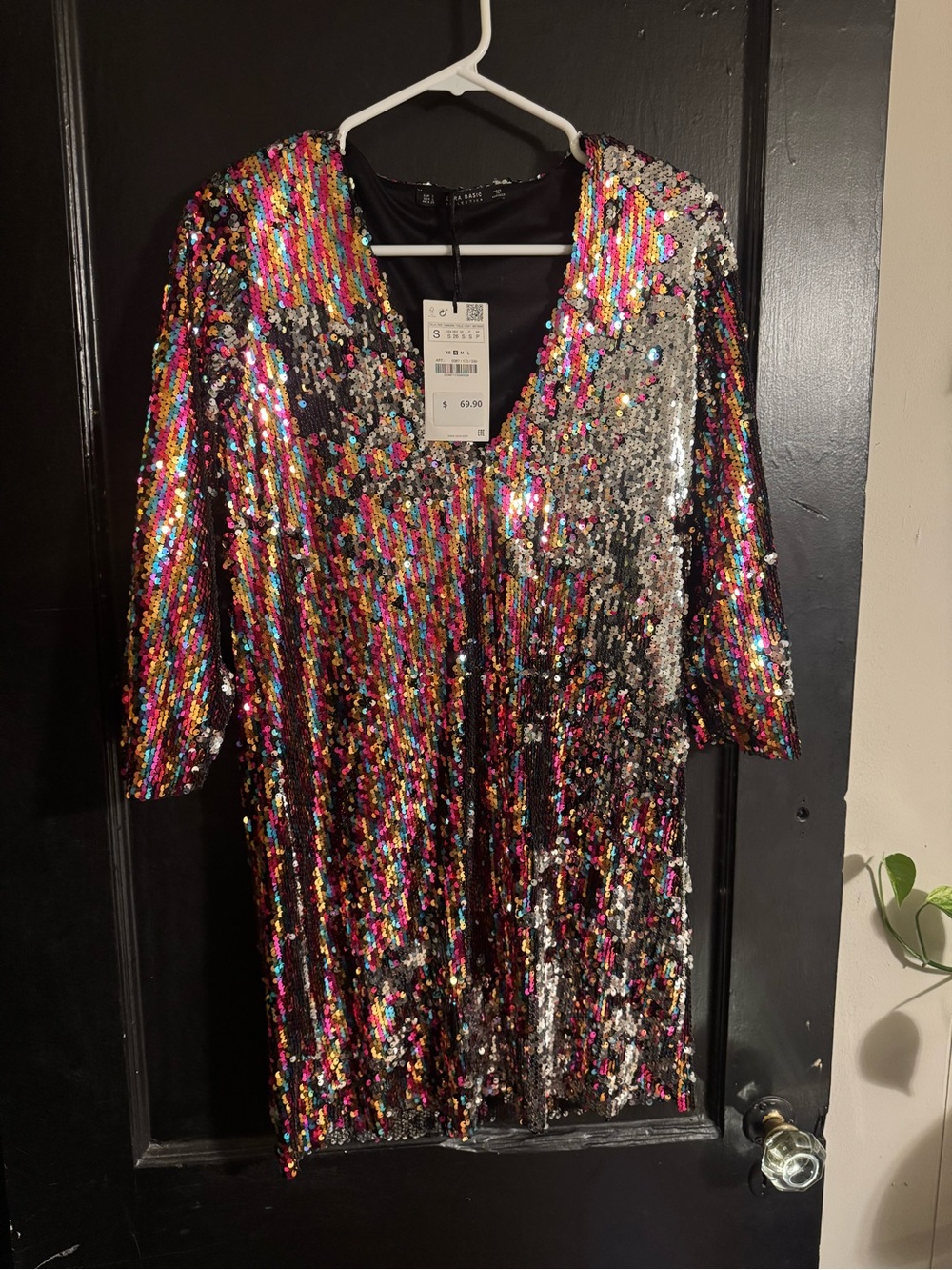 Zara Multicolor/Silver Reversible Sequins Dress